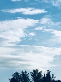 Low angle view of tree against sky