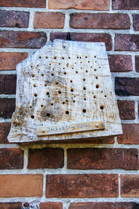 Close-up of bee on brick wall