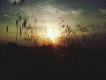 Scenic view of landscape against sky at sunset