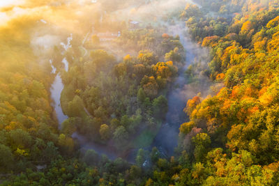 Aerial autumn fall sunrise view of foggy forest in vilnius, lithuania