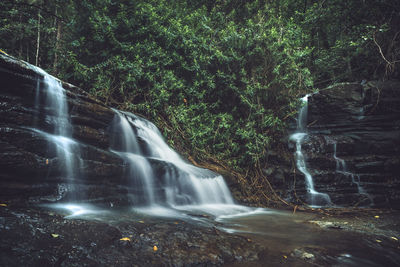 Scenic view of waterfall in forest