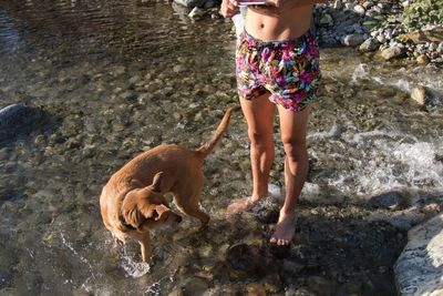 Low section of girl with dog in water