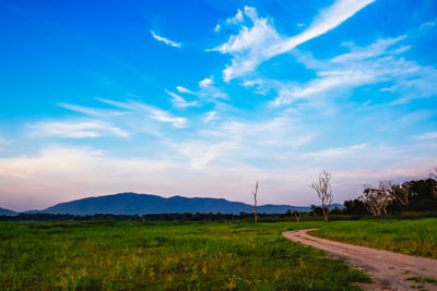 Scenic view of field against sky