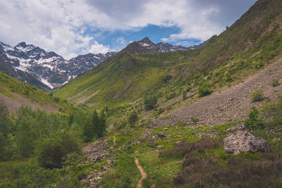 mountain