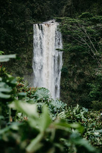 Scenic view of waterfall in forest