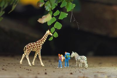 Adventure of miniature people 