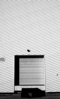 Cat on built structure