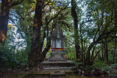 Trees growing outside temple in forest