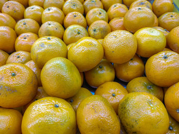 Full frame shot of oranges