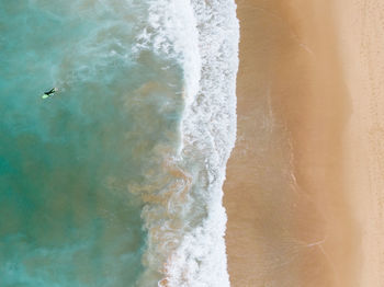 View of birds on beach