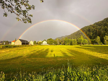 Scenic view of field against sky