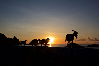 Animals on shore against sky during sunset