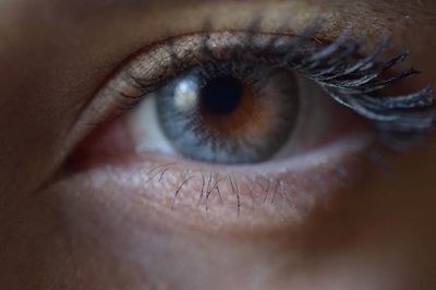 Close-up of human eye