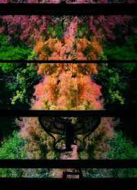 Full frame shot of rusty metal fence during autumn