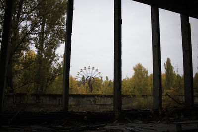 View of trees against sky