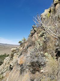 Rock formations on landscape against clear sky