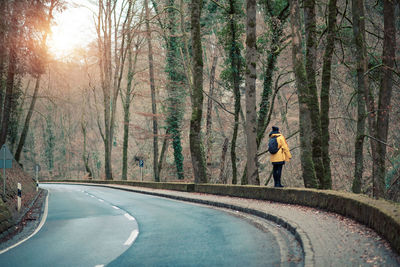 Rear view of person walking on retaining wall by roadside at forest