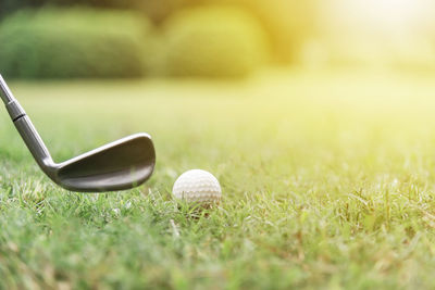 Close-up of golf ball and club on course 