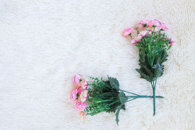 Close-up of pink roses