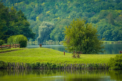 Scenic view of lake by trees against sky