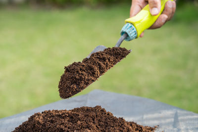 Cropped hand of woman holding plant