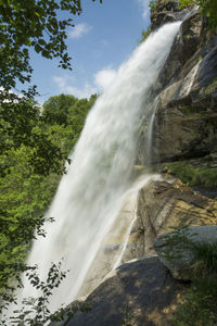 Low angle view of waterfall in forest
