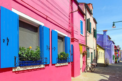 Flower pots decorate on the walls and blue windows of the pink house. 
