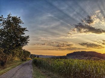 Road amidst field against sky during sunset