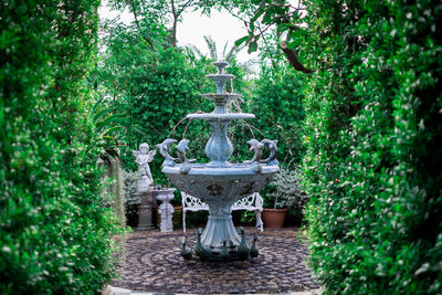 Fountain in garden