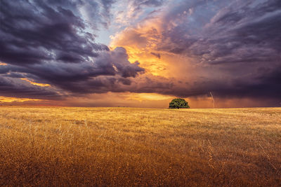 Scenic view of field against sky during sunset