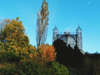 Low angle view of trees and plants against blue sky