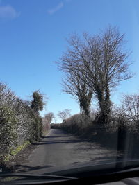 Road amidst trees against sky seen through car windshield