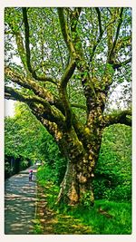 People walking on footpath