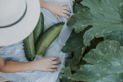 Midsection of woman holding leaves