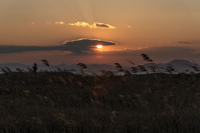 Scenic view of field against sky during sunset