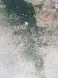 Full frame shot of abstract background