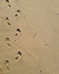 High angle view of footprints on sand
