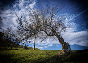 Scenic view of grassy field against cloudy sky