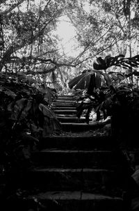 Low angle view of staircase