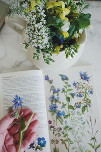 Close-up of hand holding flower over book at table