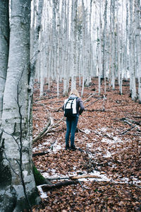 Rear view of man standing in forest during winter