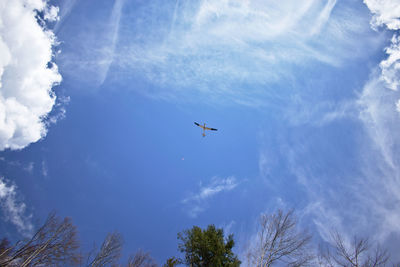 Low angle view of silhouette trees against sky