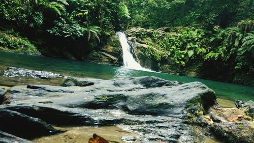 Stream flowing through rocks