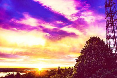 Low angle view of silhouette trees against sky at sunset