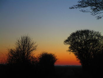 Silhouette trees against sky during sunset