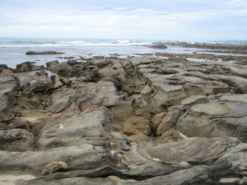 Rocks on beach against sky