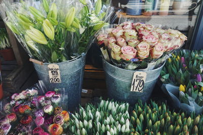 Close-up of flowers for sale at market
