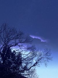 Low angle view of bare tree against sky at night