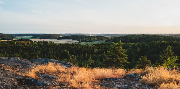 Scenic view of landscape against sky