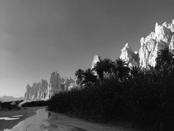 Panoramic view of trees against sky